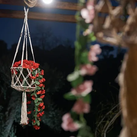 Nature Retreat Skiathos *